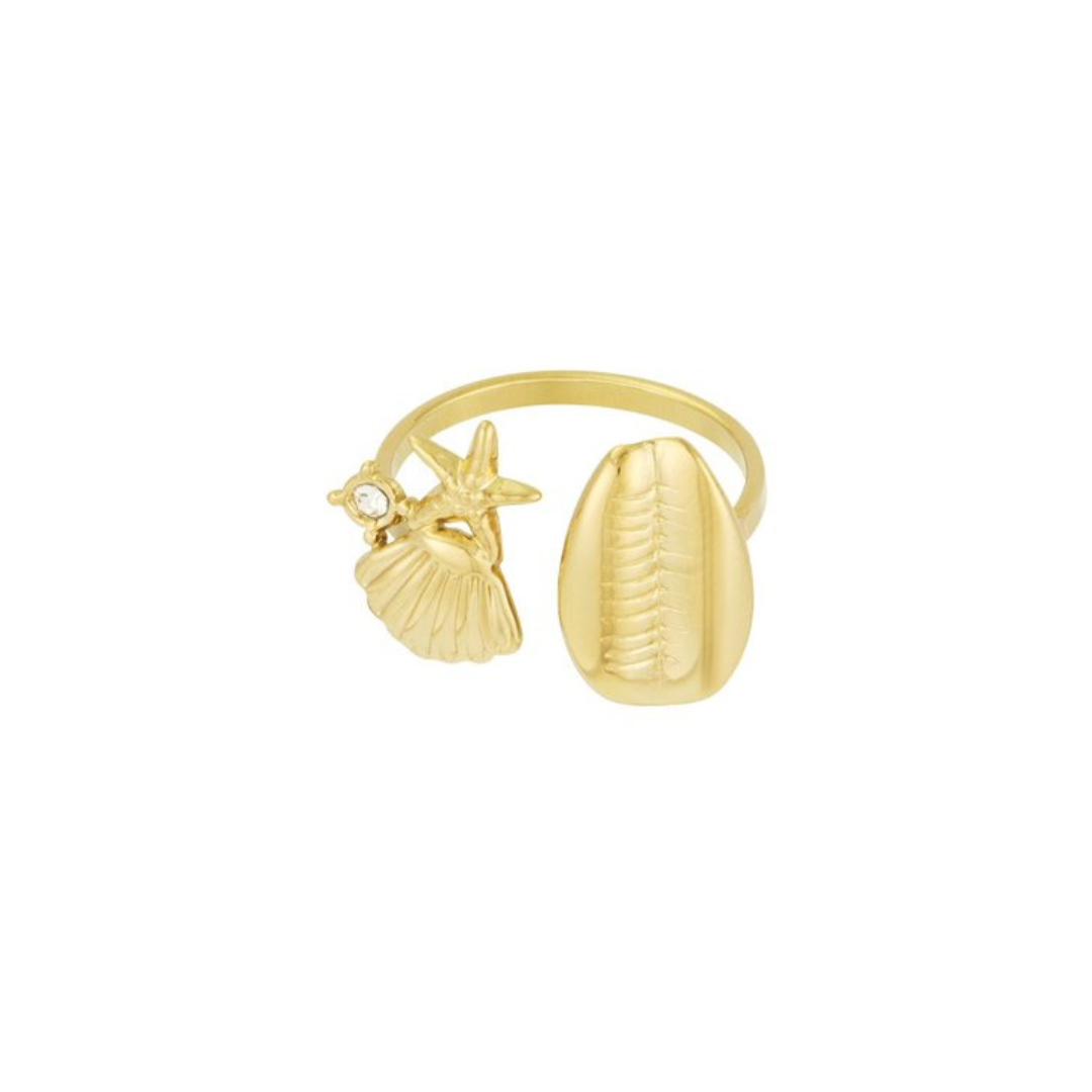 Beach ring