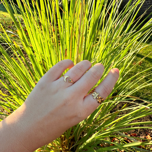 Moon & star ring